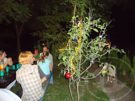 DSC01236