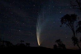 P1_McNaught