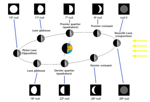 fases de la luna